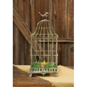 Decorative Bird Houses & Cages You'll Love | Wayfair