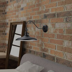 Spartansburg 1-Light Wall Sconce