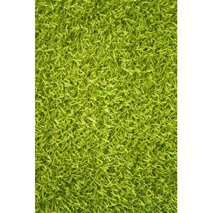 lime green rug contemporary sara hand woven lime green area rug wayfair lime green rug contemporary sara hand woven lime green area rug wayfair