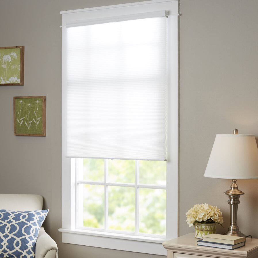 Window Blinds & Shades You'll Love 