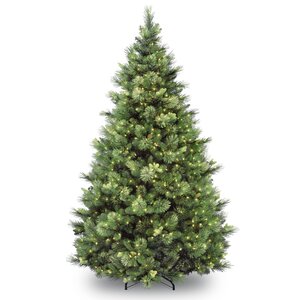 Carolina 7' Green Pine Artificial Christmas Tree with 700 Clear Lights with Stand