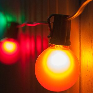 25-Light Globe String Lights