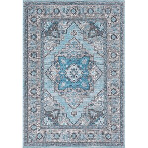 Sharpes Teal/Gray Area Rug