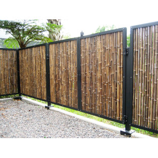 Outdoor Bamboo Fence Wayfair Rolled Bamboo Fencing