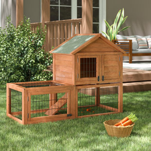 Guinea Pig Cages Hutches You Ll Love Wayfair Harley Rabbit Hutch With Outdoor Run