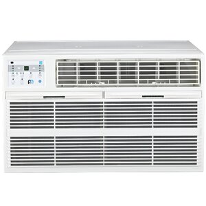 8,000 BTU Energy Star Through the Wall Air Conditioner with Remote