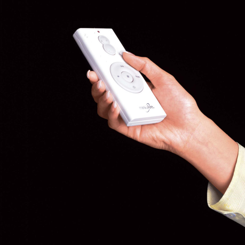 Hand Held Remote Control System – LTGCJ