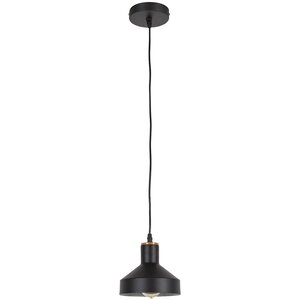 Vedder 1-Light Mini Pendant