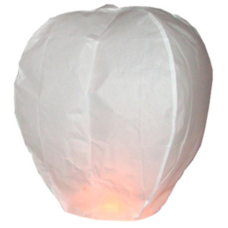 Luminarias Sky Lantern & Reviews Wayfair