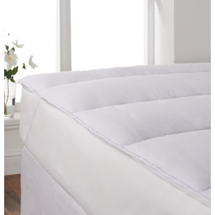 Anti Allergy Feather Duvet Wayfair Co Uk Anti Allergy Mattress Topper