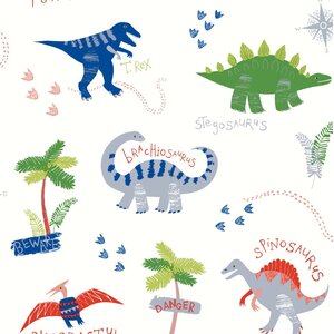 Dino Doodles 21' x 3.95