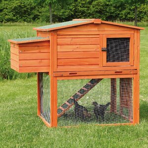 Madeleine Chicken Coop/House with Outdoor Run