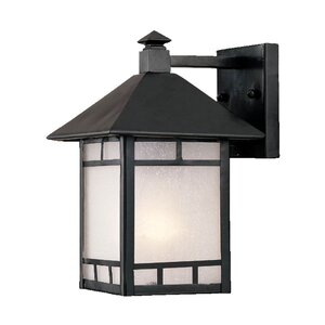 San Pablo 1-Light Outdoor Wall Lantern