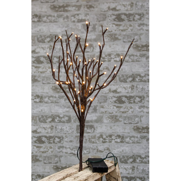 Battery Lighted Branches Wayfair