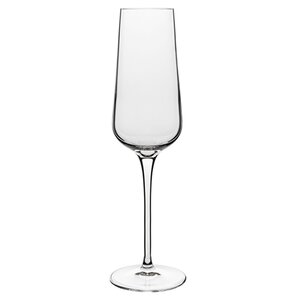 Intenso Champagne Flute (Set of 6)