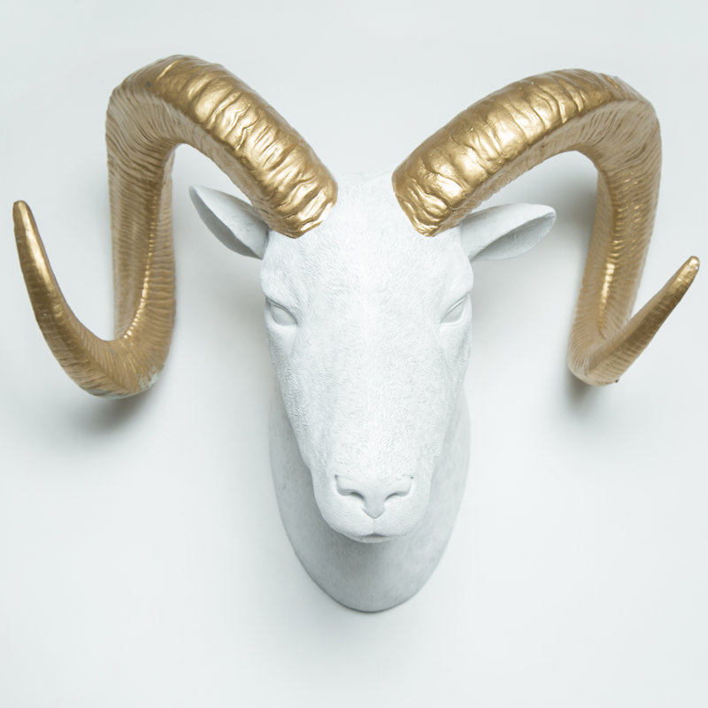 Interior Illusions Goat Head Taxidermy Wall Décor & Reviews Wayfair