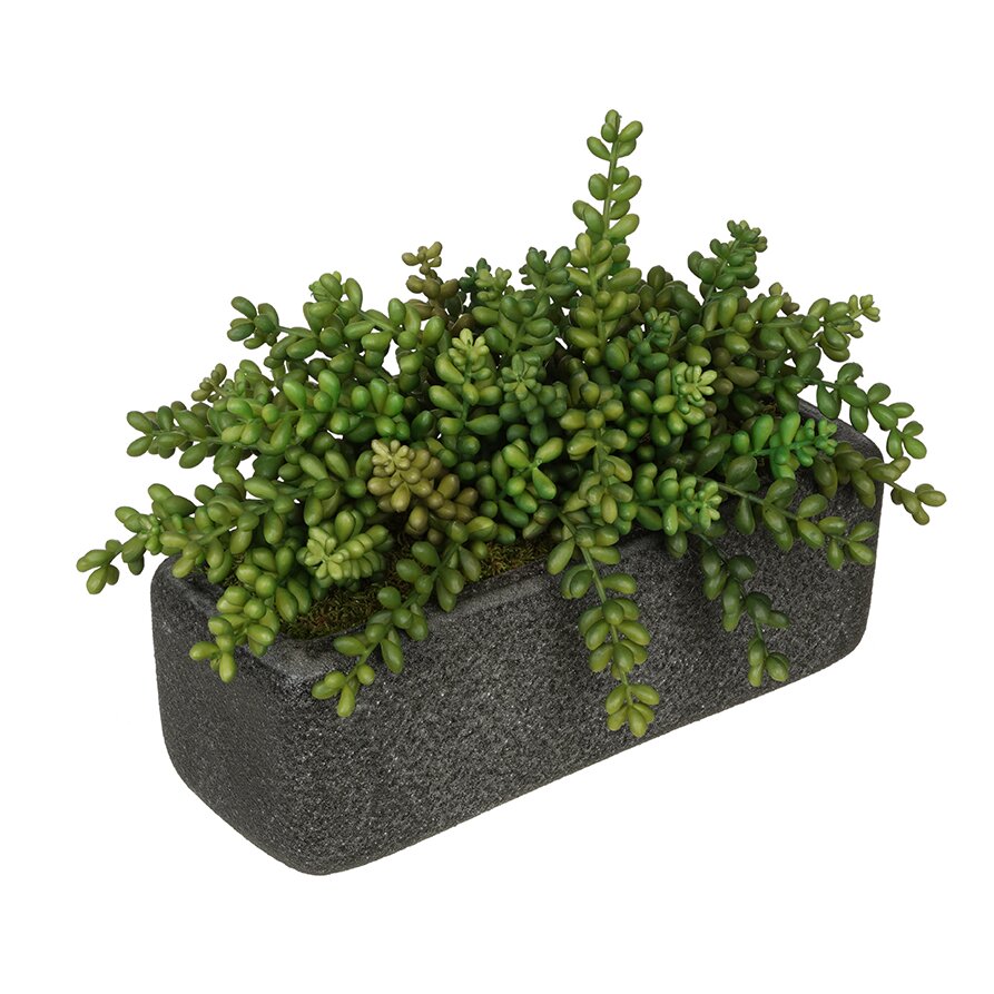 House of Silk Flowers Artificial Sedum Plant in Planter & Reviews | Wayfair