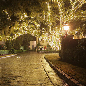 Modern Home 56 ft. Fairy String Lights