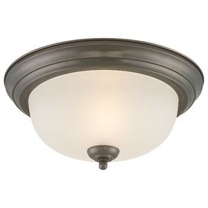 None 1-Light Ceiling Light