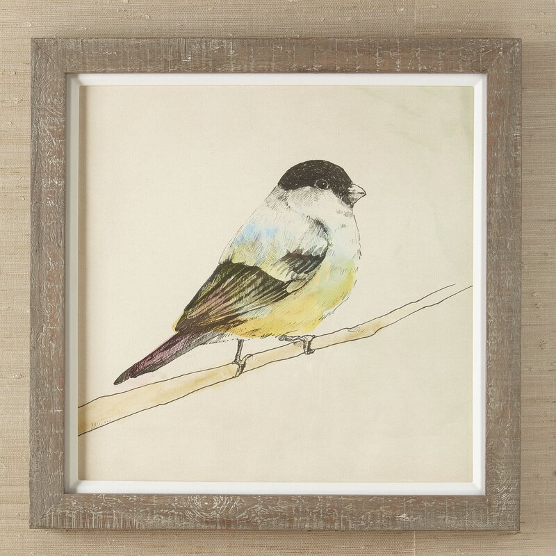 Birch Lane™ Petite Bird Framed Print II & Reviews | Birch Lane