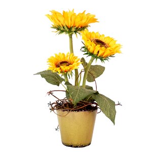Sunflower and Vine in Ceramic Pot