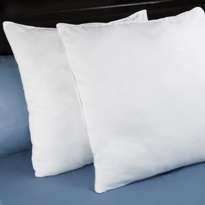 Euro Down Alternative Pillow (Set of 2) by Alwyn Home