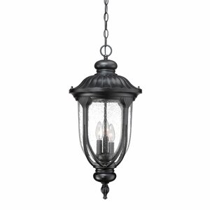 Angie 3-Light Outdoor Hanging Lantern