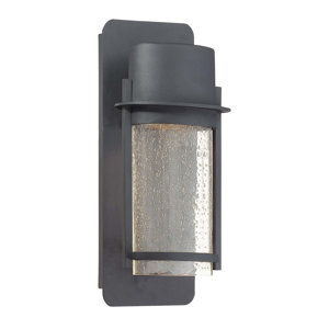 Janke 1-Light Outdoor Sconce