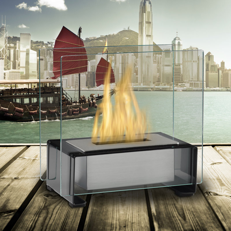 EcoFeu Paris BioEthanol Tabletop Fireplace & Reviews Wayfair
