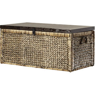 Trunks Joss Main Mel Water Hyacinth Storage Trunk