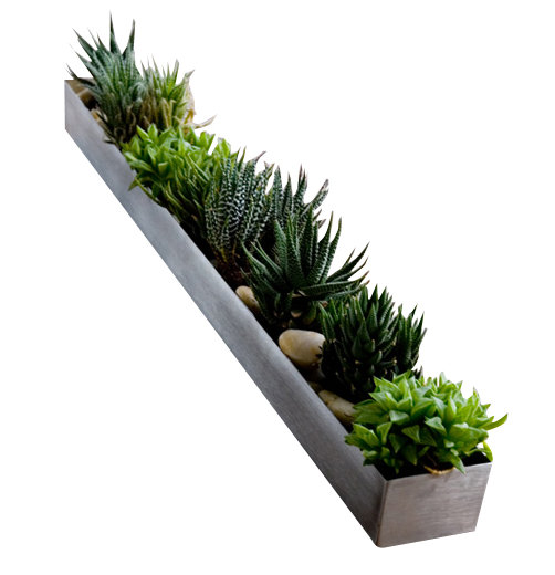 Gus Modern Stainless Steel Planter Box & Reviews Wayfair.ca