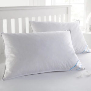 Duck Feather Pillow Set (Set of 2) by Alwyn Home