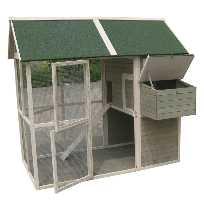 Coops And Feathers Walk In Chicken Coop With Chicken Run