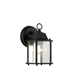 Catanzaro 1-Light Outdoor Wall Lantern