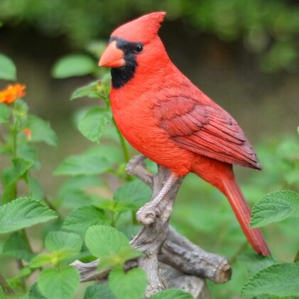 Hi-Line Gift Ltd. Cardinal on Branch Statue & Reviews | Wayfair