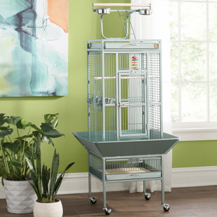 Bird Cages You Ll Love Wayfair Quickview