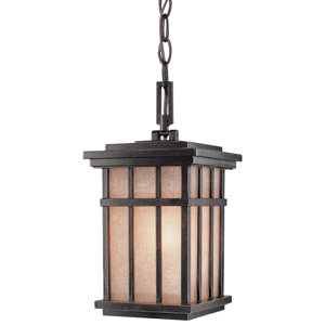 Tenleytown 1-Light Outdoor Hanging Lantern