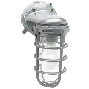 Canyonlands 1-Light Outdoor Sconce