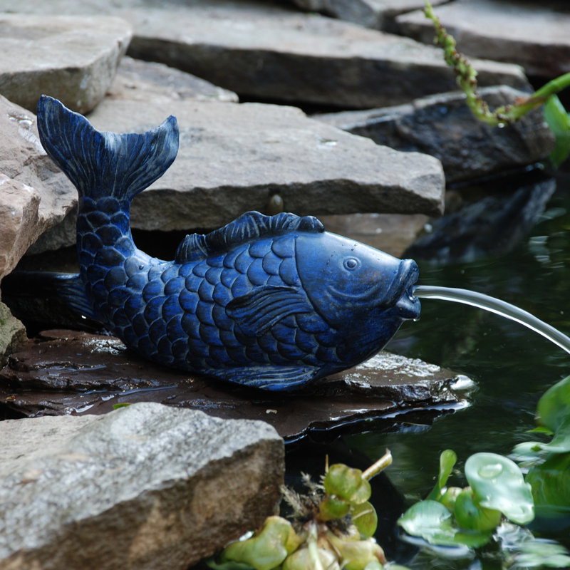 Asian garden spitter photo 718