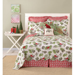 Queen Bedskirt 15 Inch Drop Wayfair Colorful Printed Bedskirt 15 Bed Skirt