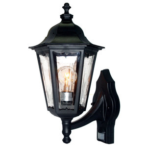 Mishra Traditional 1-Light Glass Shade Outdoor Sconce