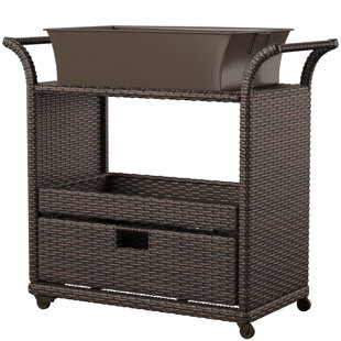 Outdoor Bars Bar Sets Joss Main Eta Bar Serving Cart