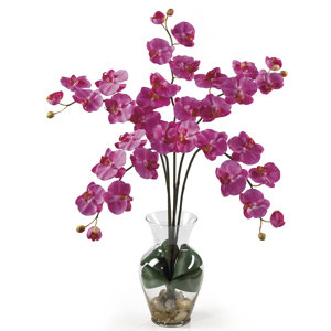 Liquid Illusion Phalaenopsis Silk Orchid Arrangement in Dark Pink