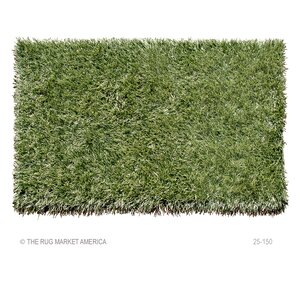 Eemshaven Hand-Woven Green Outdoor Area Rug