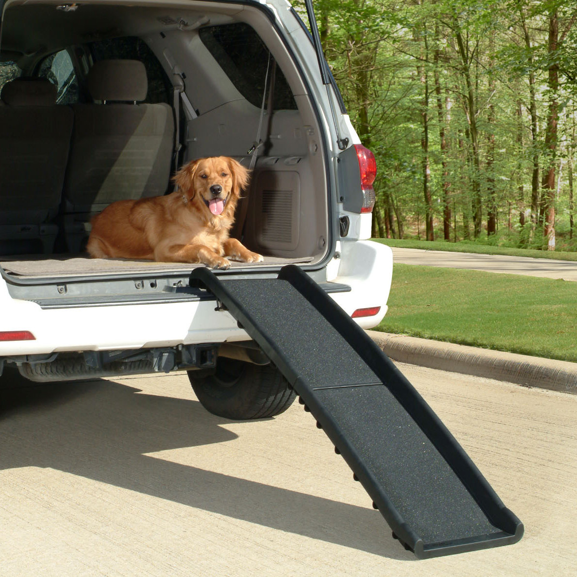 Pet Ramp For Car >> Petsafe Ultralite Bi Fold 62 Pet Ramp Reviews Wayfair Pet Ramp For Car >> Petsafe Ultralite Bi Fold 62 Pet Ramp Reviews Wayfair