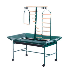 Pegasus Bird Play Stand Parrot Pet Gym Perch with Wheel Bowl Ladder Swing