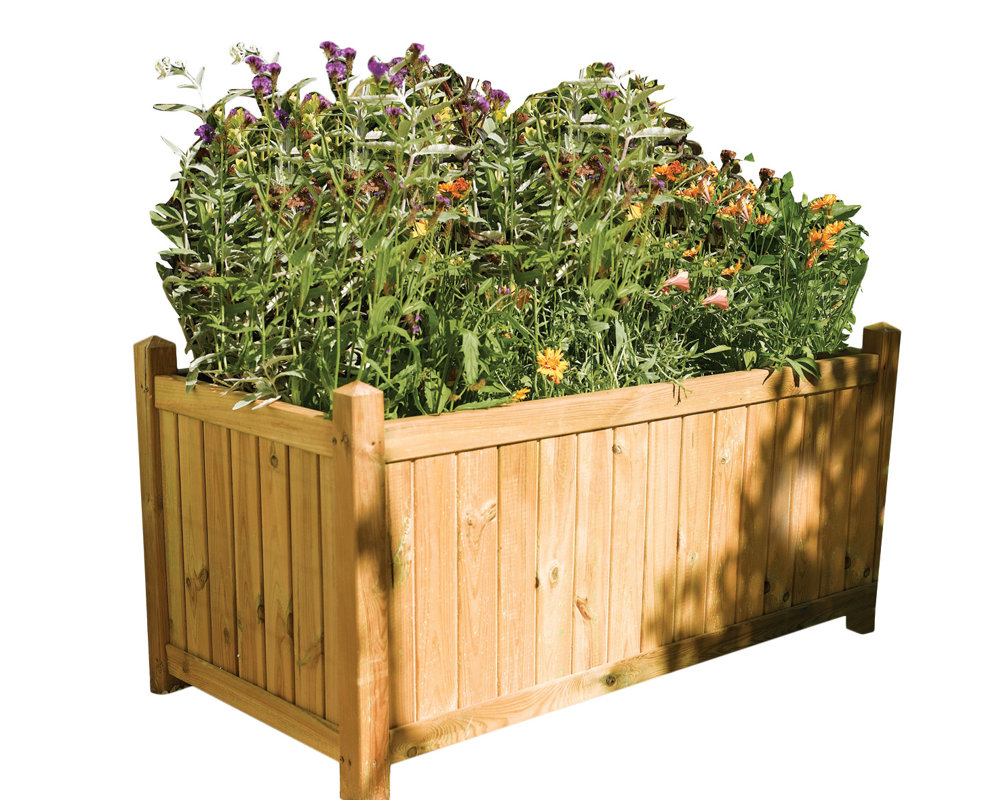 Rowlinson Rectangular Planter Box & Reviews Wayfair.co.uk