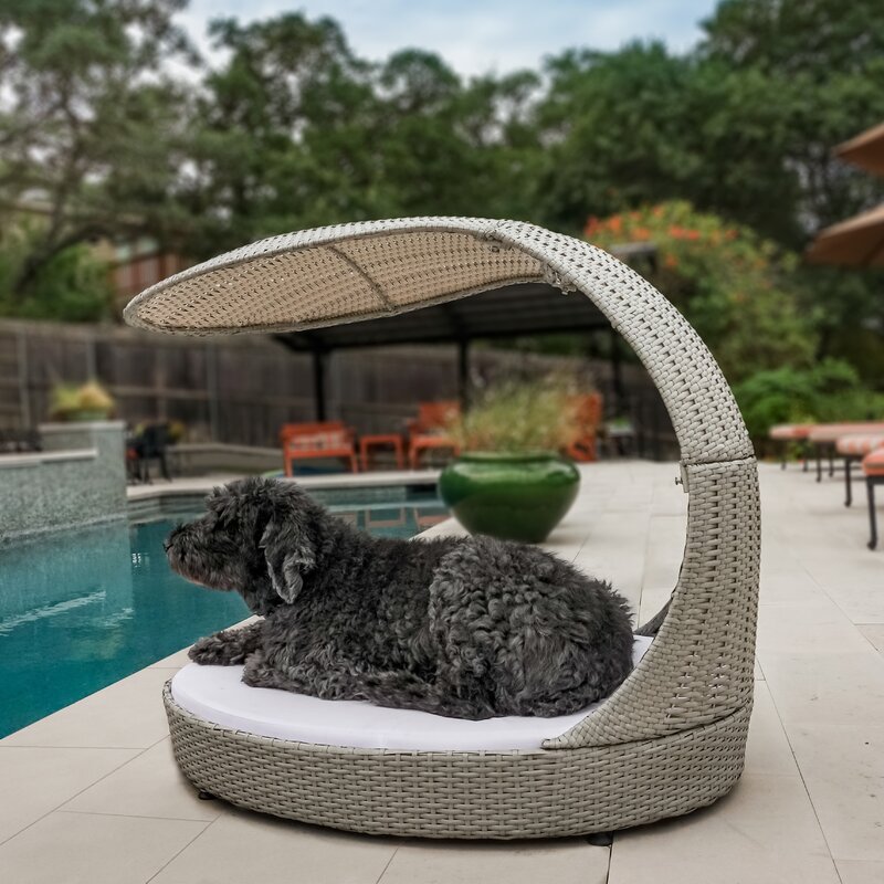 Outdoor Hooded Dog Chaise Lounge & Reviews | AllModern