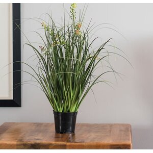 Artificial Flowering Grass in Cylinder Pot