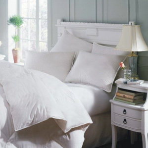 ASTRA Soft Innofil Down Alternative Pillow by Downright